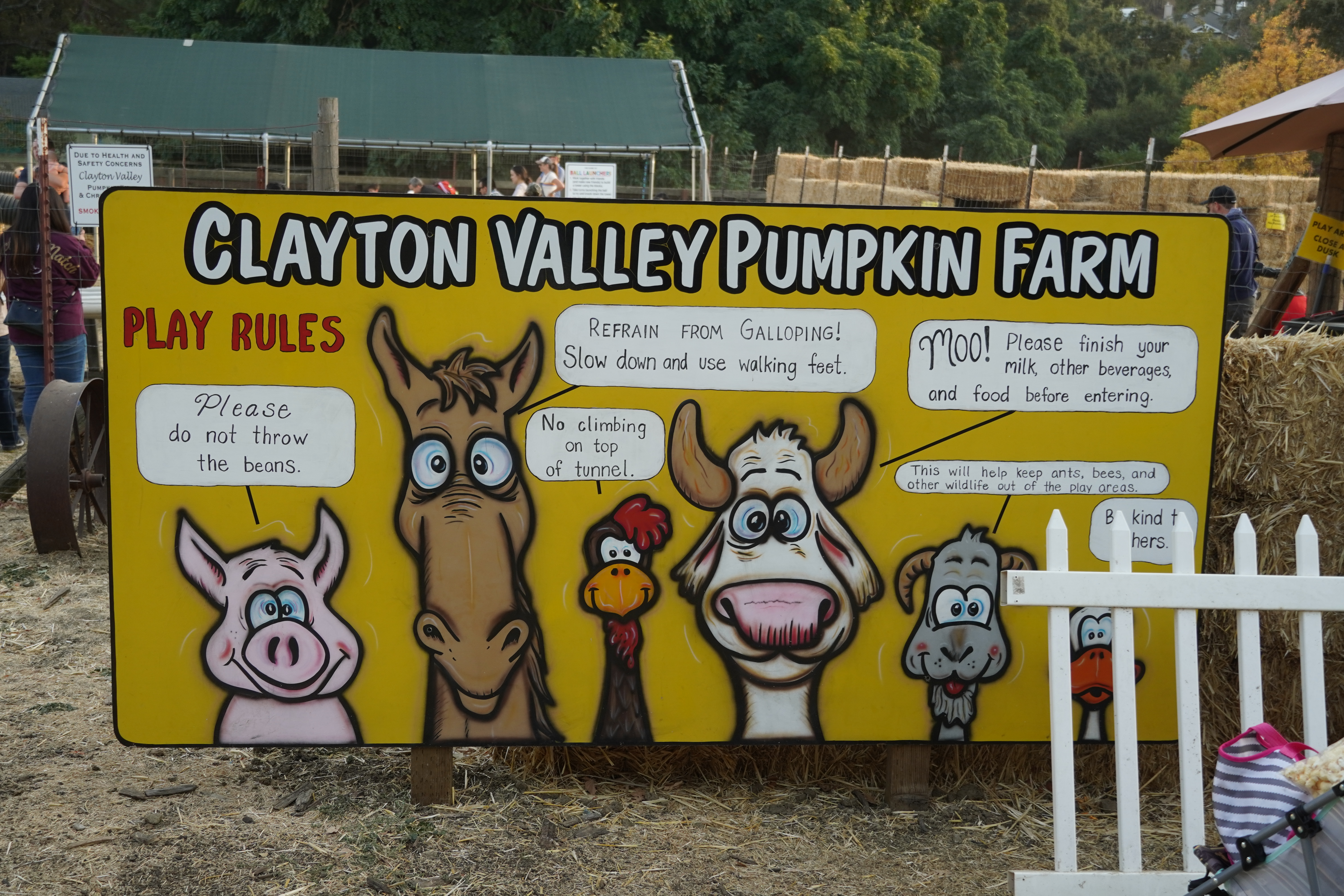 Mia's 2nd Pumpkin Patch in Fall 2019 Clayton Valley Pumpkin Farm Pumpkin Patch in Clayton Valley Farm