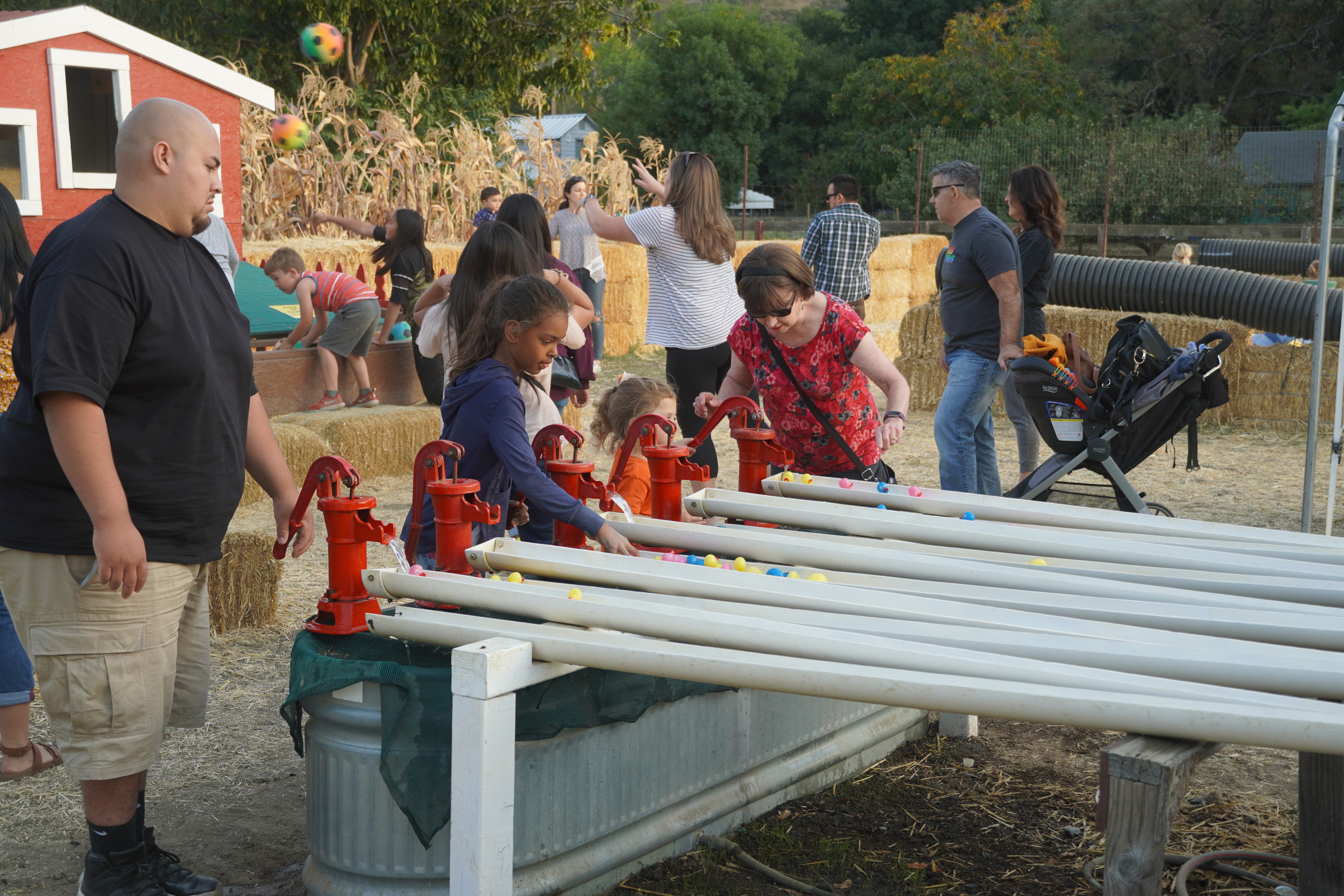 Mia's 2nd Pumpkin Patch in Fall 2019 in Clayton Valley Farm Pumpkin Patch in Clayton Valley Farm